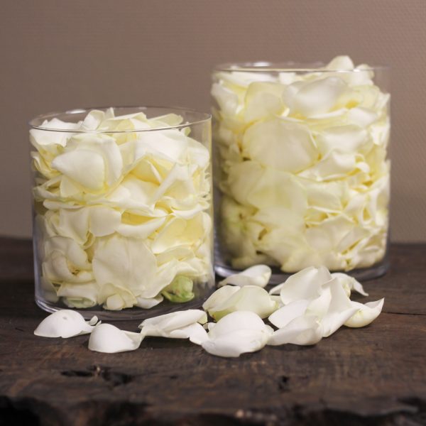 Rozenblaadjes wit