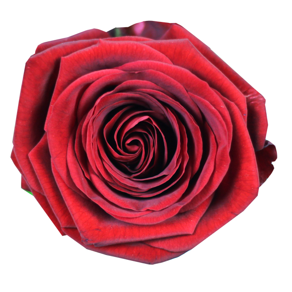 Boeket Red Naomi - Afbeelding 3